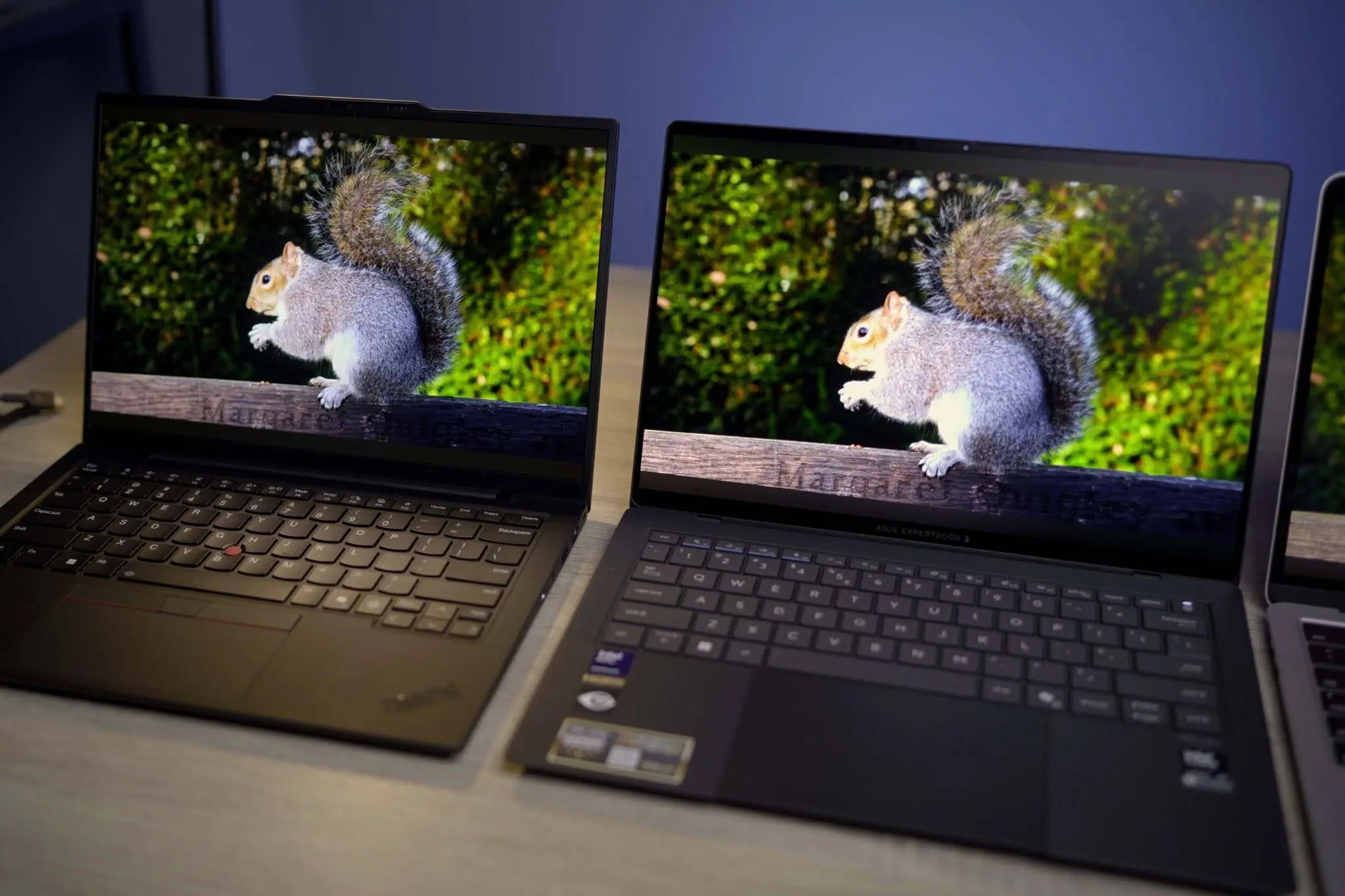 Perbandingan kualitas visual layar Tandem OLED pada ASUS ExpertBook Ultra berdampingan dengan panel OLED standar milik Lenovo ThinkPad X1 Carbon.